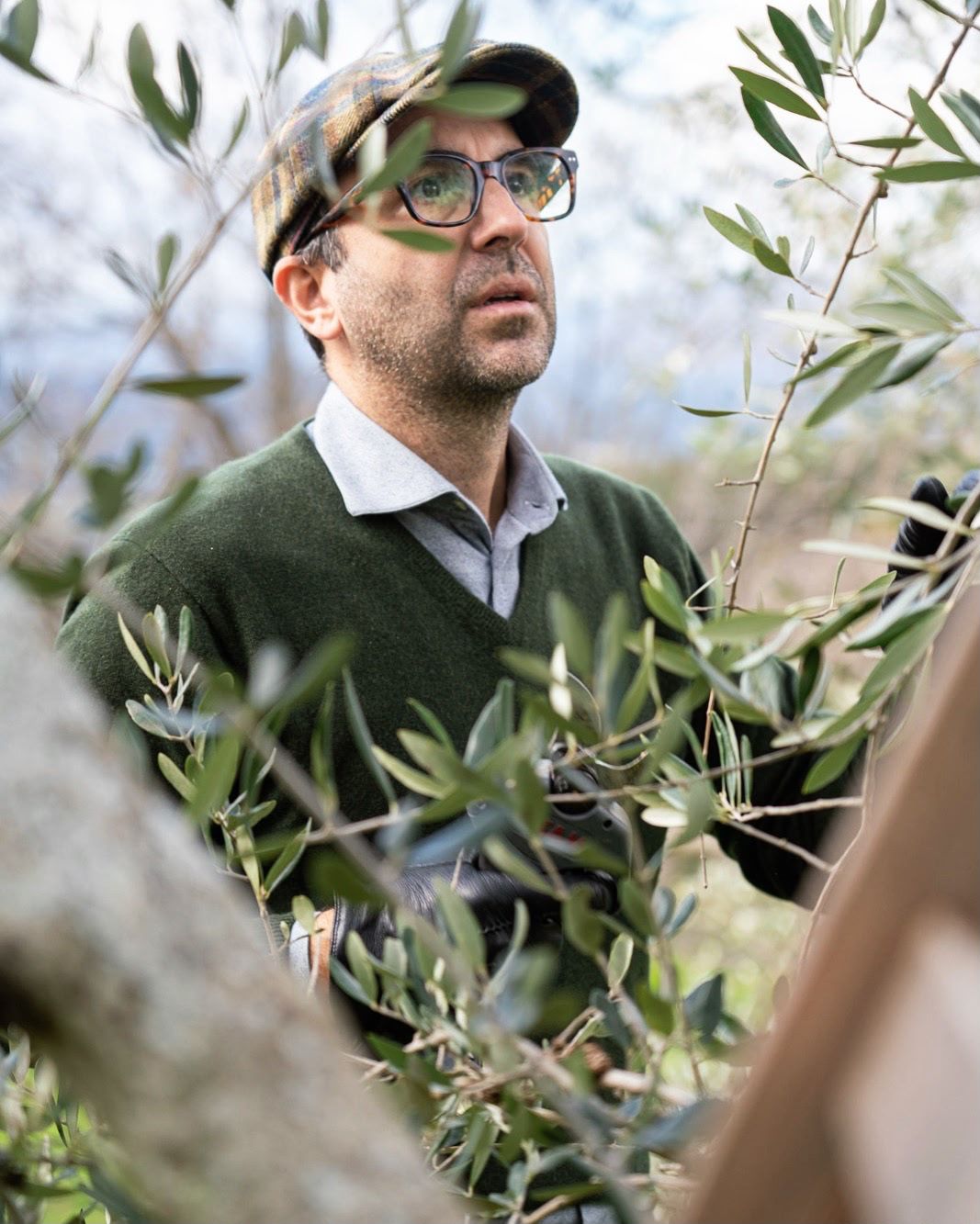 Gentlemen Farmers grower among the olive trees