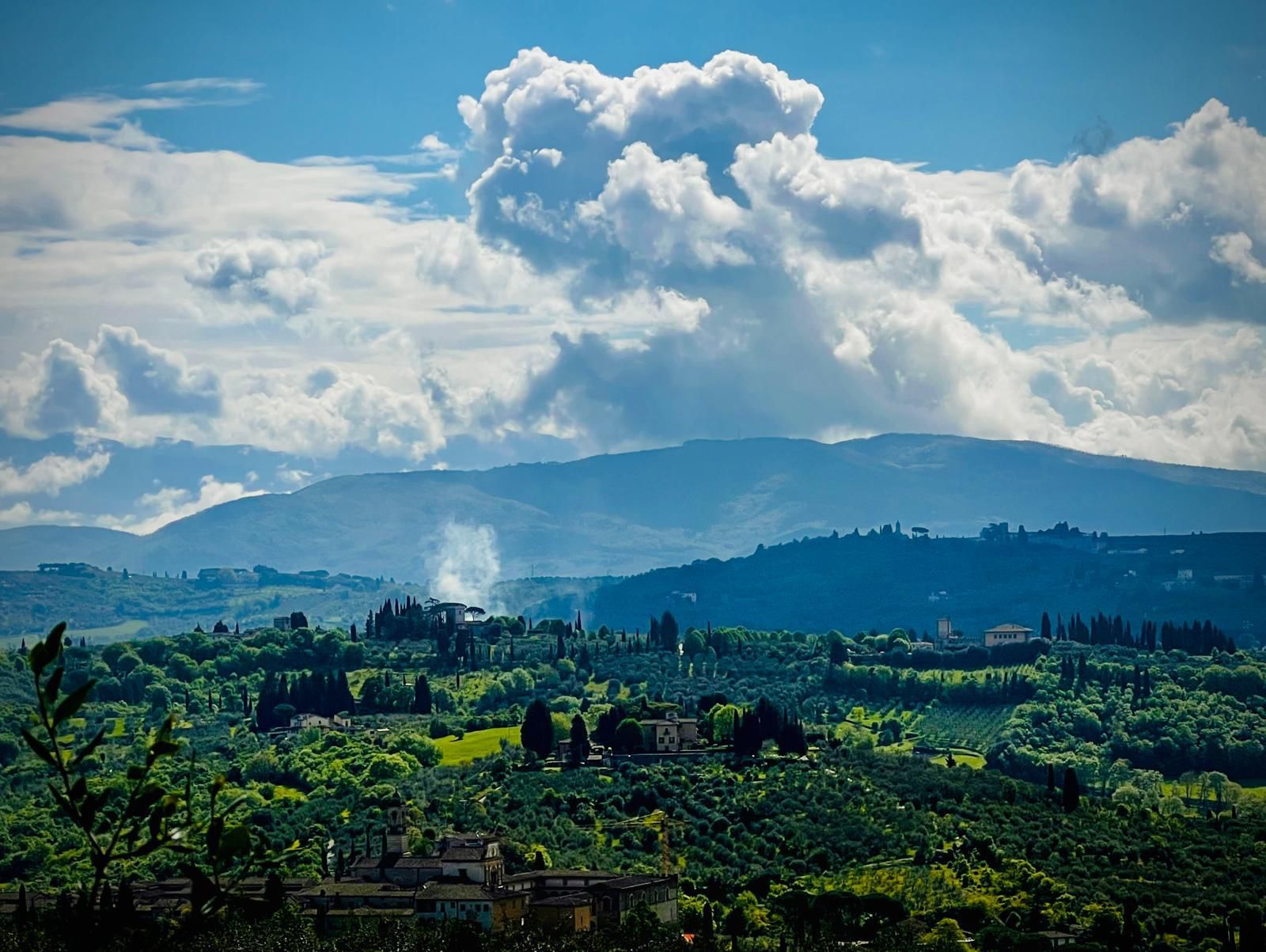 The hills and olive groves surrounding La Luigiana